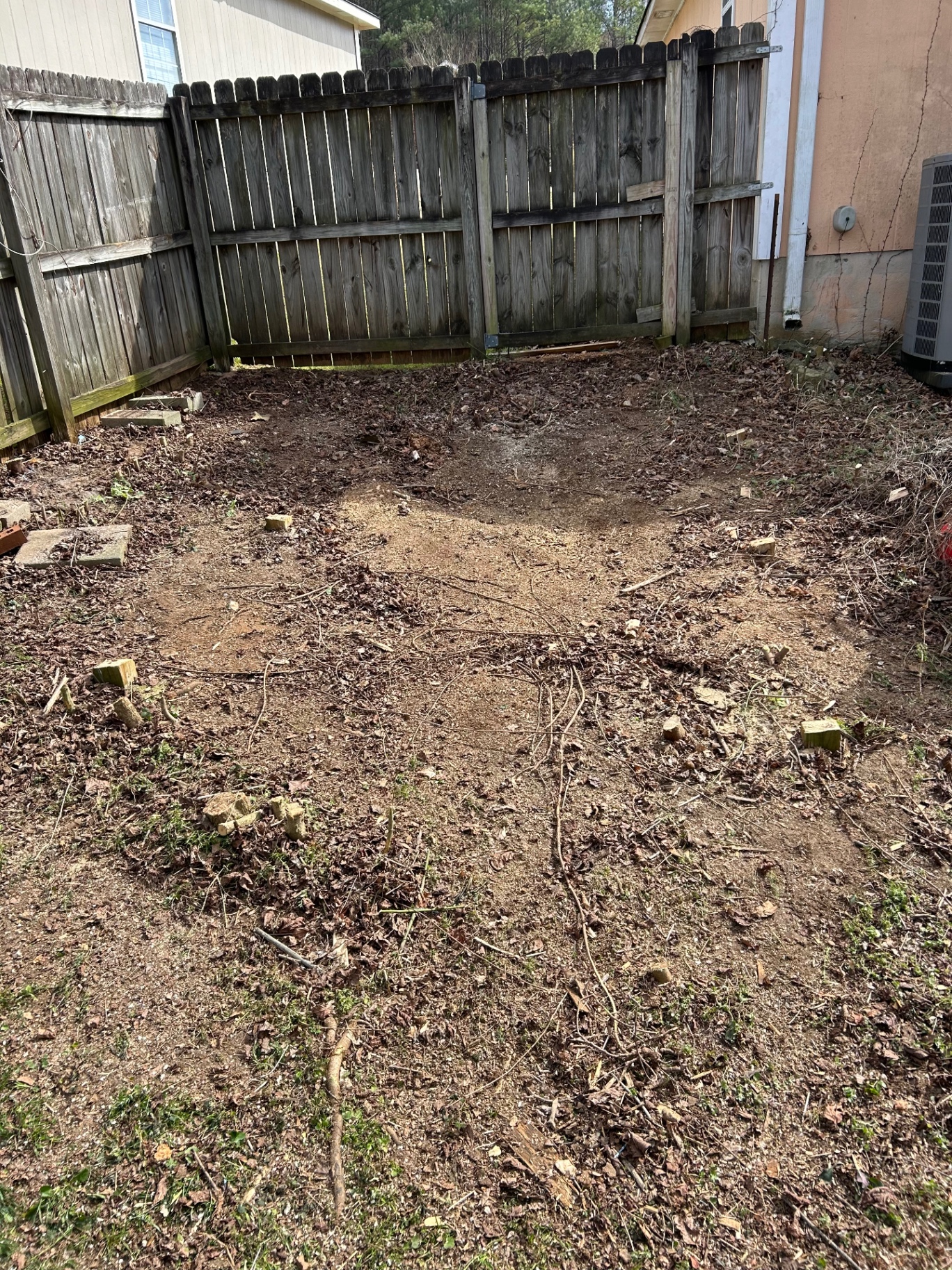 After: yard cleared, hauled, and ready for new life